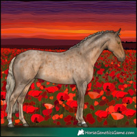 Horse Color:Chocolate Palomino Roan
