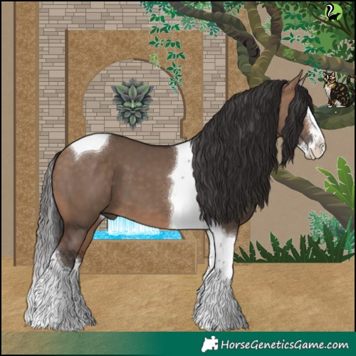 Horse Color:Bay Dun Splash Tobiano 