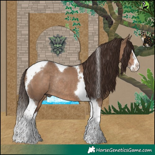 Horse Color:Liver Red Dun Splash Tobiano Rabicano 