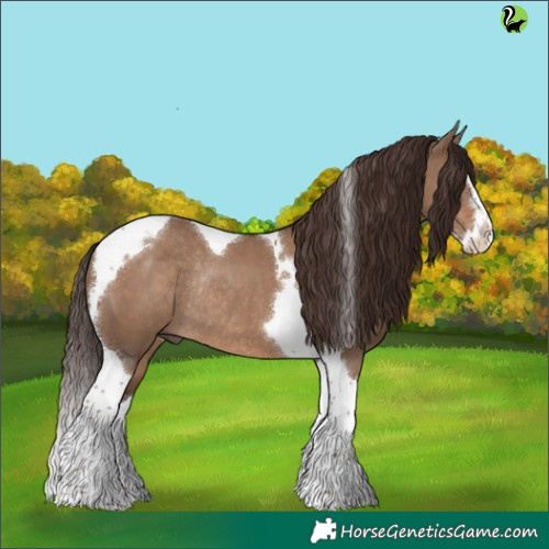 Horse Color:Liver Red Dun Splash Tobiano Rabicano 