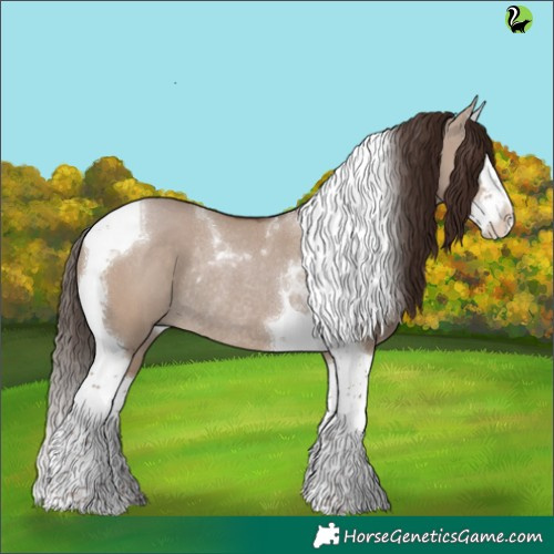 Horse Color:Liver Red Dun Splash Tobiano Rabicano 