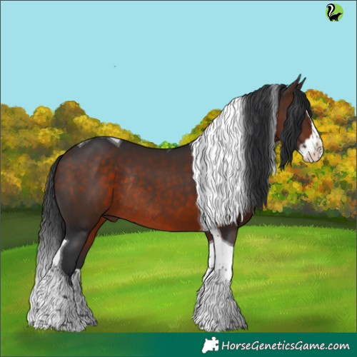 Horse Color:Brown Splash Tobiano Rabicano 