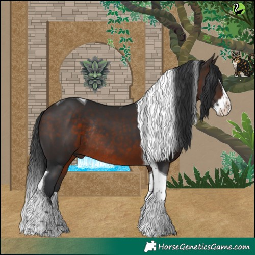 Horse Color:Brown Splash Tobiano Rabicano 