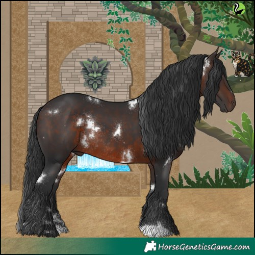 Horse Color:White Spotted Brown Rabicano 