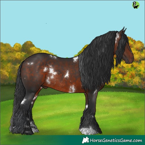 Horse Color:White Spotted Brown Rabicano 