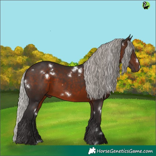 Horse Color:White Spotted Silver Brown Rabicano 