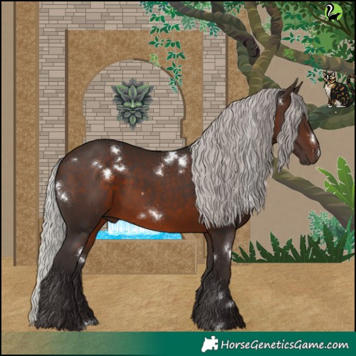 Horse Color:White Spotted Silver Brown Rabicano 