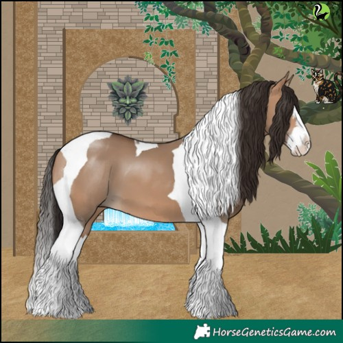 Horse Color:Bay Dun Splash Tobiano 