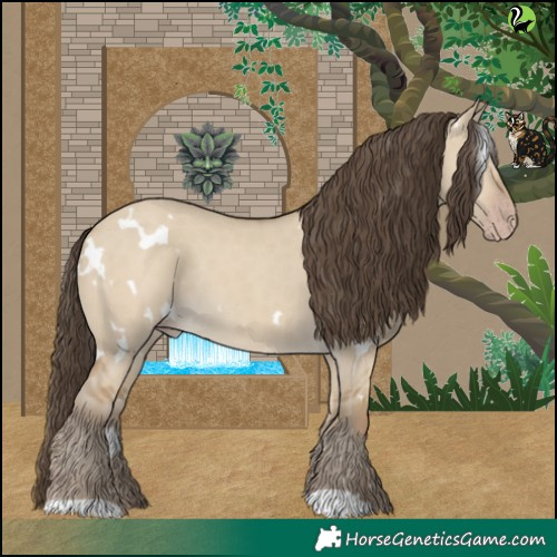 Horse Color:White Spotted Classic Cream Champagne Dun Rabicano 