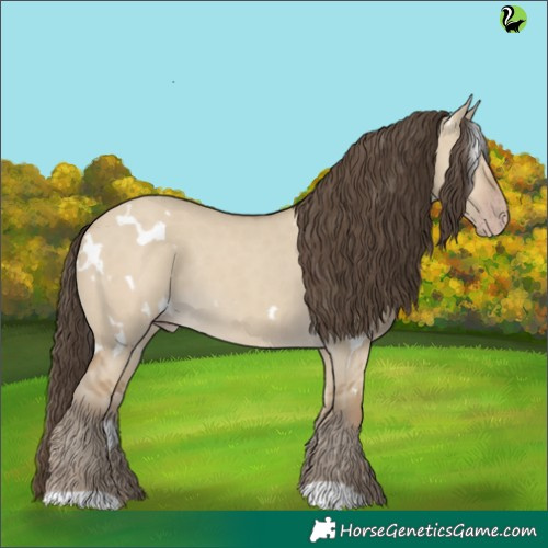 Horse Color:White Spotted Classic Cream Champagne Dun Rabicano 