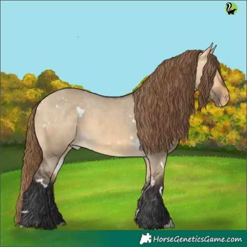 Horse Color:White Spotted Buckskin Dun Appaloosa 