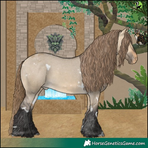 Horse Color:White Spotted Buckskin Dun Varnish 