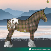 Horse Color:Plaid  Brown Tobiano Blanket 