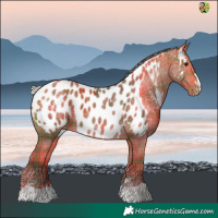 Horse Color:Plaid  Silver Brown Near Leopard 