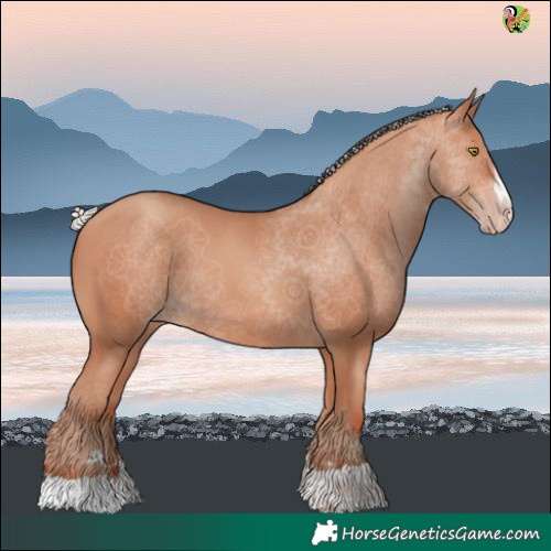 Horse Color:Silver Sable Champagne 