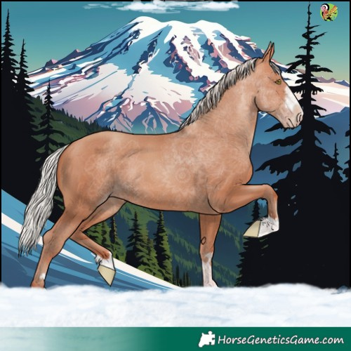 Horse Color:Silver Sable Champagne 