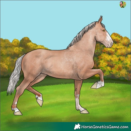 Horse Color:Silver Sable Champagne 