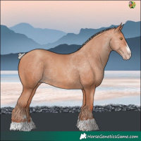 Horse Color:Silver Sable Champagne 