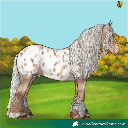 Horse Color:Plaid  Silver Sable Champagne Tobiano Appaloosa 