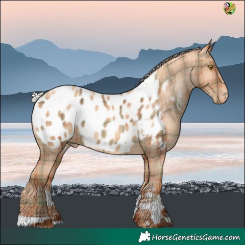 Horse Color:Plaid  Silver Sable Champagne Tobiano Blanket 