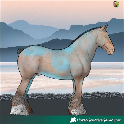Horse Color:Sable Champagne Varnish 