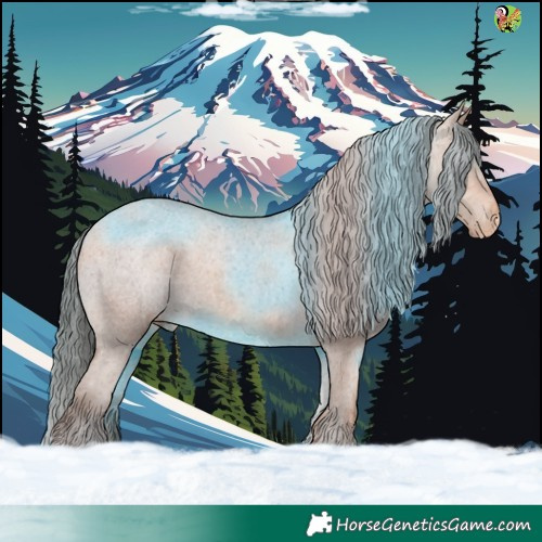 Horse Color:Sable Champagne Appaloosa 