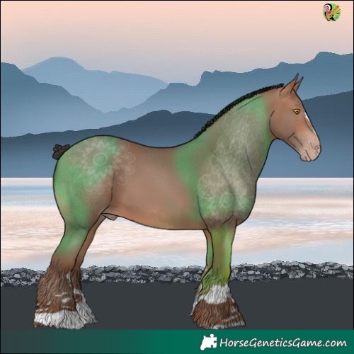 Horse Color:Sable Champagne 