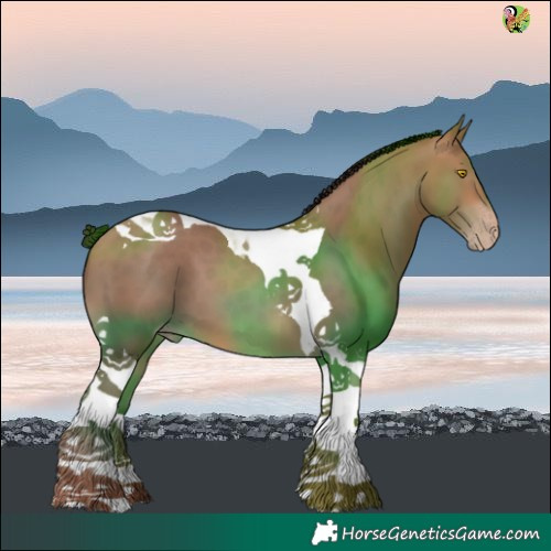 Horse Color:Sable Champagne Tobiano 