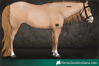 Horse Color:Bay Pearl 