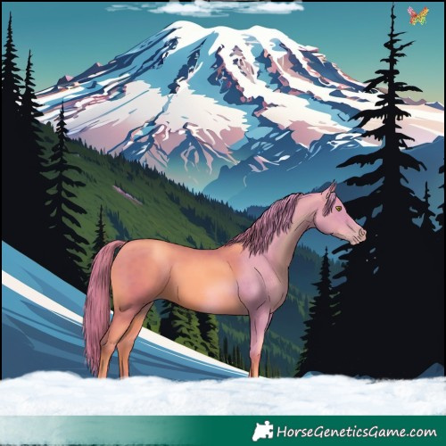 Horse Color:Watercolor Gold Champagne 