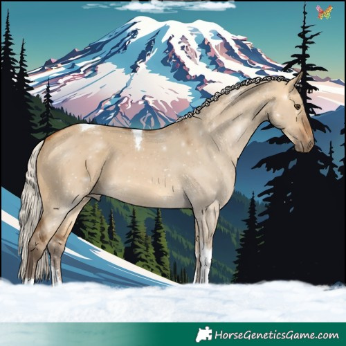 Horse Color:Silver Buckskin Dun Tobiano 
