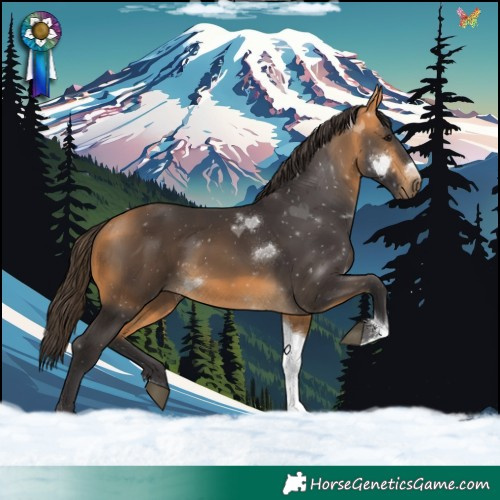 Horse Color:Buckskin Tobiano 