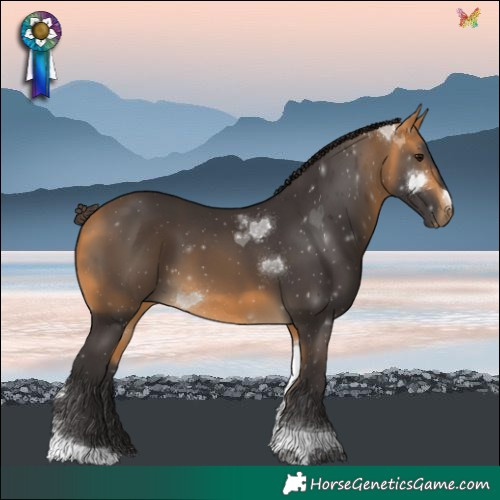 Horse Color:Buckskin Tobiano 