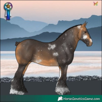 Horse Color:Buckskin Tobiano 