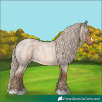 Horse Color:Chocolate Palomino Roan 