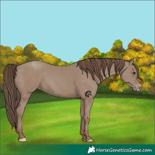 Horse Color:Classic Champagne Varnish 
