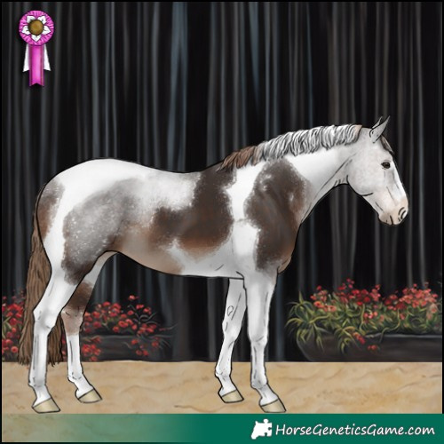 Horse Color:Liver Chestnut Tobiano 