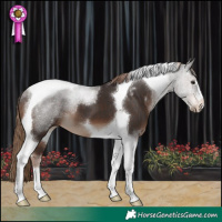 Horse Color:Liver Chestnut Tobiano 