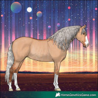 Horse Color:Silver Bay Dun Rabicano 