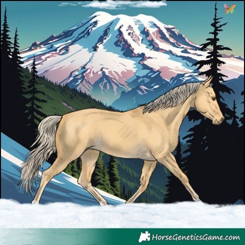 Horse Color:Palomino Dun 