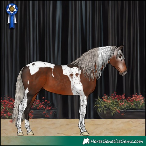 Horse Color:Gray Silver Bay Tobiano 