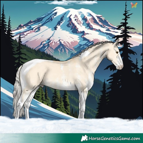 Horse Color:White Spotted Silver Buckskin Dun Tobiano 