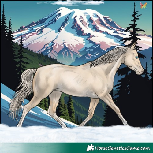 Horse Color:Palomino Pearl Dun Rabicano 