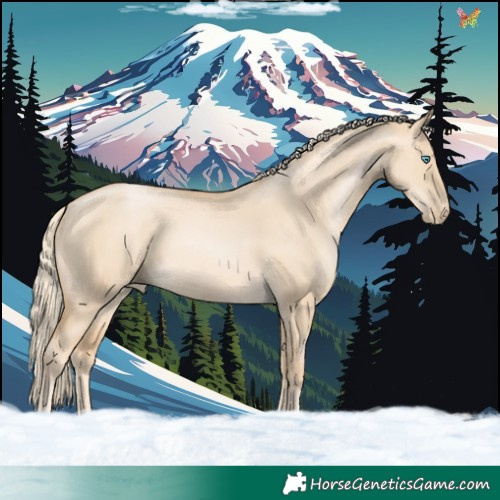 Horse Color:Palomino Pearl Dun 