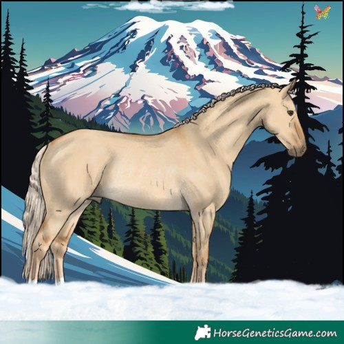 Horse Color:Palomino Dun Rabicano 