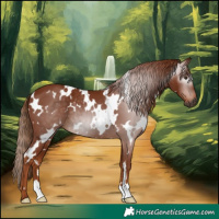 Horse Color:Gray White Spotted Chestnut Rabicano 