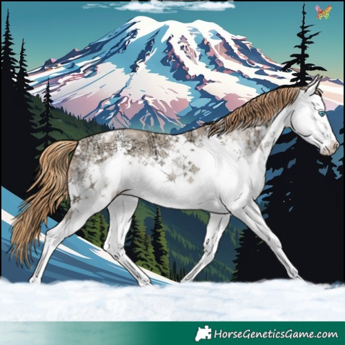 Horse Color:White Spotted Buckskin Ice Pearl Rabicano 