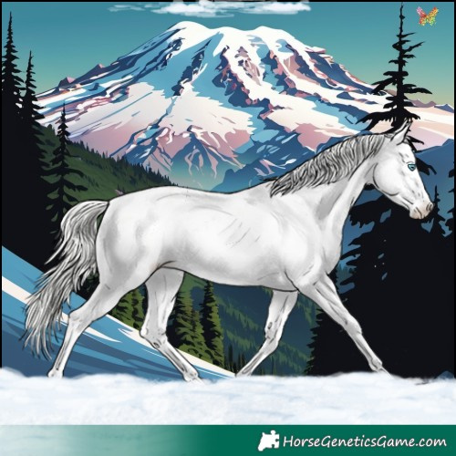 Horse Color:White Spotted Silver Smoky Grullo Pearl Sabino Appaloosa 