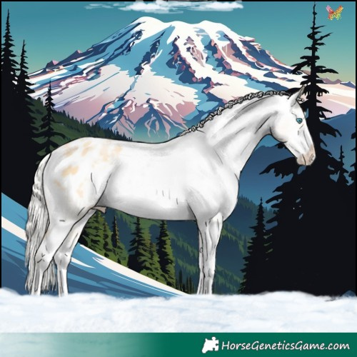 Horse Color:White Spotted Silver Buckskin Pearl Blanket 