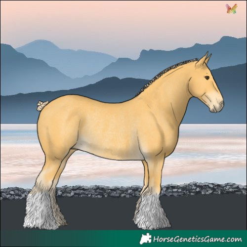 Horse Color:Palomino Rabicano 